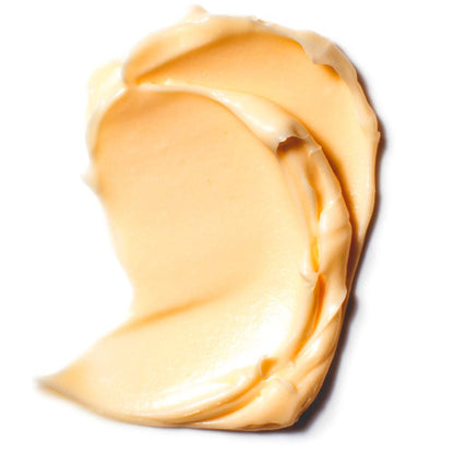 Loreal Paris Age Perfect Hydra-Nutrition Nourishing Moisturizer-(48g)